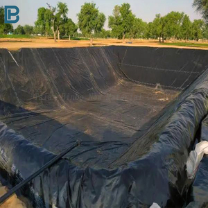 Ventes directes d'usine professionnelles moderne 0.5-2mm HDPE géomembrane résistant aux UV en PVC LDPE EVA LLDPE polyéthylène renforcé - Product Image 1