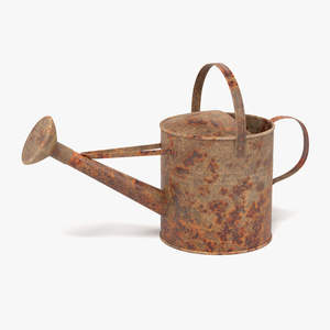 Stainless Steel Metal Watering Can-Garden Decoration & <b>Storage</b> <b>Container</b> for Home Customizable Color & Logo ACMI Brand - Product Image 4