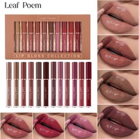 Ensemble de gloss à lèvres 12 couleurs, hydratant longue durée, rouge à lèvres liquide brillant, coffret cadeau