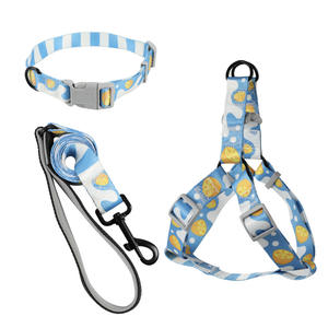 Imbracatura per cani in poliestere stampata in tre pezzi con collare toracico e chiusura con bottone imbottito al guinzaglio per animali domestici - Product Image 1