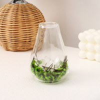 Vente chaude Tasse en verre à double paroi en borosilicate de haute qualité Design simple de fleurs séchées Résistante à la chaleur Tasse à café pour la maison Boisson au lait