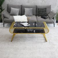 Table basse rectangulaire minimaliste de style nordique moderne avec plateau en marbre et structure en acier avec espace de rangement BTCT034 pour salon