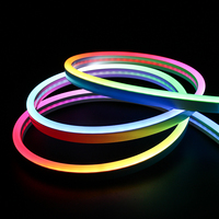 SHIJI Bande LED néon flexible en silicone à émission latérale en cuivre, sans PCB, angle de faisceau 180°, étanche, avec télécommande, pour contour de bâtiment