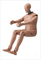 Coque en PU avec structure intérieure en acier inoxydable, mannequin pour les tests de collision automobile