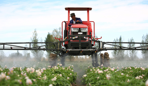 Fenpyroximate 5% SC <span class=keywords><strong>Insecticida</strong></span> <span class=keywords><strong>para</strong></span> árboles frutales contra ácaros rojos, pulgas y garrapatas, seguro <span class=keywords><strong>para</strong></span> abejas, pesticida agrícola, acaricida - Product Image 6