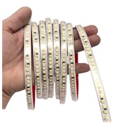Bande LED néon AC220V, lumière linéaire, CCT double couleur, trois couleurs, super lumineuse, SMD2835, blanc chaud, blanc pur, bleu, 192 LED, IP20, IP65, OEM