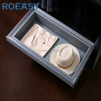 Porte-pantalons coulissant à fermeture douce pour dressing / Panier de rangement coulissant pour vêtements