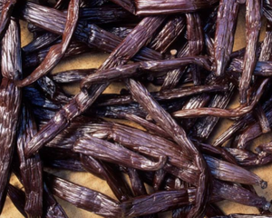 Pó natural de grãos de baunilha, de alta qualidade - Product Image 4