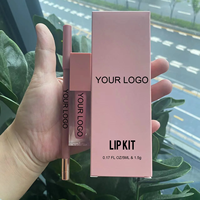 Kit de maquillage pour les lèvres imperméable longue durée sans logo de marque privée à bas quantité minimale de commande en gros