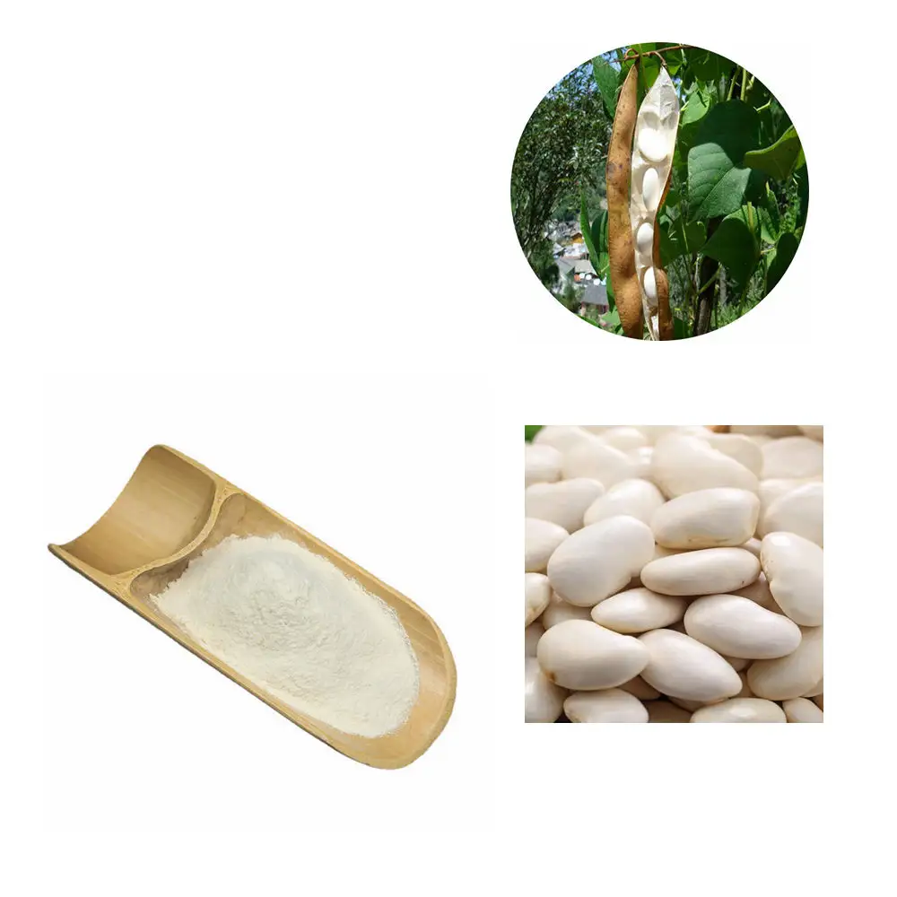 Ekstrak Kacang Biru Laut Alami Supplu/Ekstrak Kacang Ginjal Putih 5:1 Phaseolamin 1% 2% 10:1