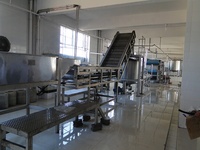 Ligne de traitement complète d'ananas à coût élevé Machine d'usine de production d'ananas personnalisée avec PLC Industrie fruitière