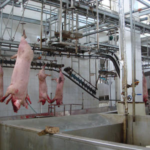 เครื่องฆ่าเนื้อหมูอุปกรณ์สำหรับโรงฆ่าสัตว์ดีไซน์ทันสมัย - Product Image 4