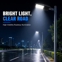 Lampadaire LED haute efficacité 160 lm/W 5000K avec lentille étanche indépendante pour éclairage urbain, autoroutes, parkings et allées