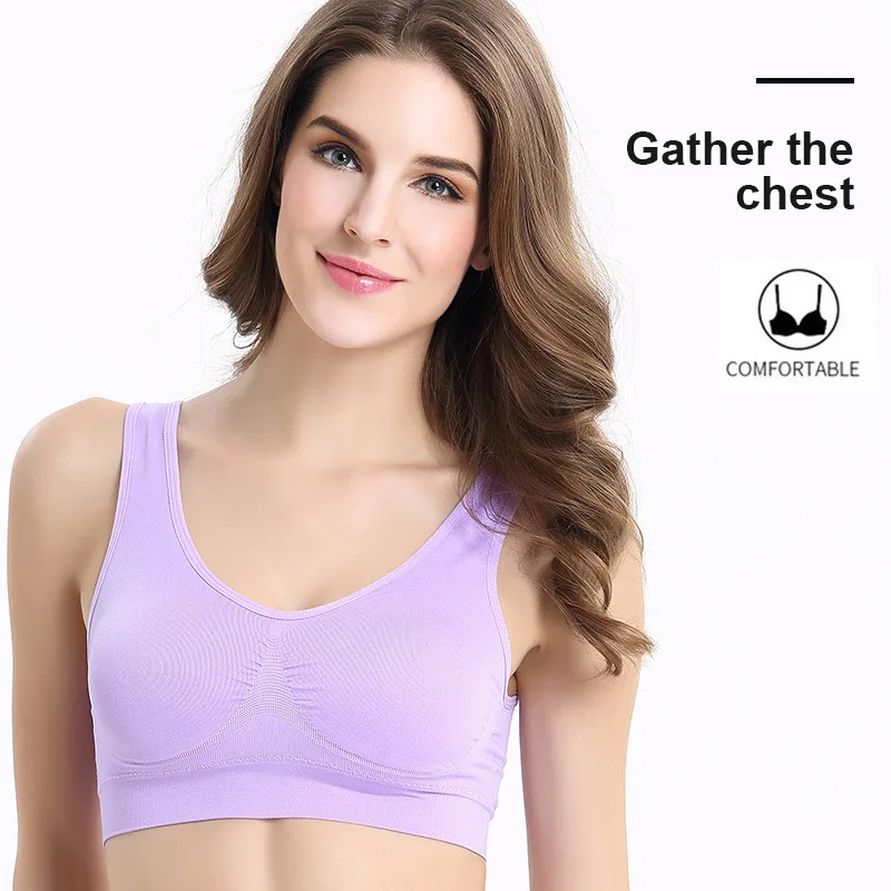 Plus-Size Sports Bra: back view showing construction, seams and support