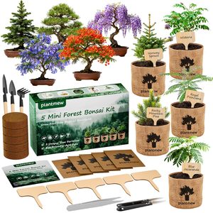 Kit <span class=keywords><strong>de</strong></span> démarrage <span class=keywords><strong>de</strong></span> bonsaï d'intérieur pour adultes - Ensemble complet <span class=keywords><strong>de</strong></span> graines, outils et <span class=keywords><strong>pot</strong></span> <span class=keywords><strong>de</strong></span> culture |   Kit <span class=keywords><strong>de</strong></span> jardinage DIY pour les amateurs <span class=keywords><strong>de</strong></span> plantes, cadeaux <span class=keywords><strong>de</strong></span> Pâques - Product Image 1