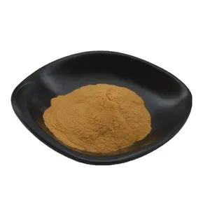 China Best Quality Free Sample Food Grade Cordyceps Powder