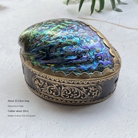 Boîte Cadeau Artisanale Écologique Exquise en Coquille d'Ormeau Naturelle, Coquillage Brut Poli de Forme Irrégulière, Style Rustique Moderne