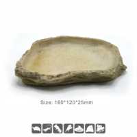 Bac d'élevage quotidien pour reptiles de forêt tropicale, tortues, lézards, geckos, en résine en forme de roche, avec gamelle pour nourriture et eau