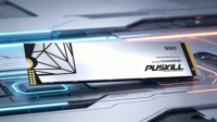 PUSKILL M.2 NVMe PCIe 4.0 SSD 1TB Silver Diamond Internal Solid State Drive untuk Desktop Gaming Laptop