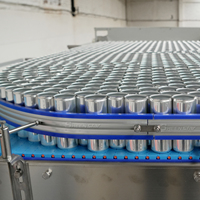 Sheenstar Meilleure ligne de production de canettes de boissons à bas prix Remplissage de canettes de boissons gazeuses Système de remplissage de canettes de boissons gazeuses