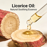 Huile de racine de réglisse 100% pure et biologique, vente en gros d'usine, huile de réglisse naturelle, extrait de plante, huile pour soins corporels, OEM 8008-94-4, vente chaude