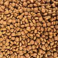 Pasokan Pabrik Makanan Anjing Cod Kibble 20kg, Nutrisi Lengkap Protein Tinggi, Mendukung Kesehatan Kulit & Usus, Makanan Anjing Kering OEM ODM Bul