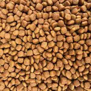 Alimentation pour chiens en granulés de morue 20kg, haute teneur en protéines, nutrition complète, favorise la santé de la peau et du pelage, santé intestinale, aliments secs pour chiens OEM ODM en vrac - Product Image 3