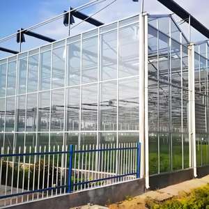 Serre en verre personnalisable, avec un système <span class=keywords><strong>de</strong></span> contrôle climatique sûr et facile à utiliser - Product Image 3