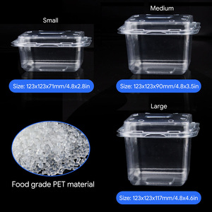Envase de Plástico PET Transparente Desechable y Reciclable para Alimentos, Caja Delgada Tipo Concha para Verduras, Ensaladas y Frutas con Tapa - Product Image 5