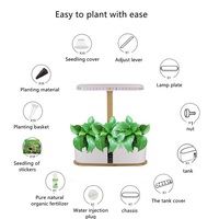 Système de culture hydroponique complet en gros pour l'intérieur, kit de démarrage pour la culture de légumes avec lampe de croissance LED
