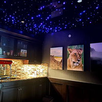 Nouvelle tendance : Film imprimé anti-feu et anti-UV à motif ciel étoilé, facile à installer, film de plafond extensible en fibre optique PVC pour cinéma