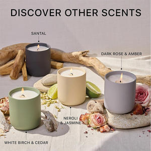 Tùy Chỉnh 8Oz 10Oz 12Oz Bắc Âu Phong Cách Thiết Kế Hiện Đại Dễ Thương Matte Gốm Handmade Đậu Nành Thơm Trang Trí Sang Trọng Nến - Product Image 3