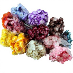 Bouquet de fleurs de lotus des neiges séchées faites à la main, fleurs de roche, décoration chinoise pour maisons et maisons d'hôtes, arrangements floraux de marguerites, fleurs naturelles pour la photographie - Product Image 1