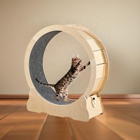 Bunnyhi PBJ070 Roue d'exercice pour chat, jouet interactif, écologique, pour l'intérieur, tapis de course de luxe en bois pour chat, adapté à la plupart des chats