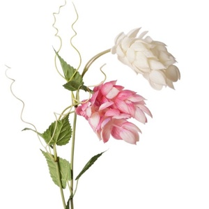 <span class=keywords><strong>ดอก</strong></span>ฮ็อปประดิษฐ์สัมผัสเหมือนจริง ขายดี สินค้ามาใหม่ สำหรับตกแต่งงานแต่งงาน งานปาร์ตี้ งานวันเกิด - Product Image 5