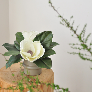 <span class=keywords><strong>Magnolia</strong></span> artificial <span class=keywords><strong>Grandiflora</strong></span> arreglo de mesa de flores de seda, <span class=keywords><strong>Magnolia</strong></span> sur de imitación realista para decoración de escritorio de oficina en casa - Product Image 2