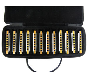 T008S Harmonica diatonique de marque chinoise, 12 touches, respectueux de l'environnement, à vendre - Product Image 1