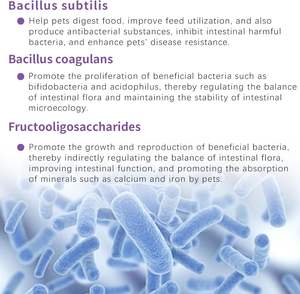 Probióticos para Perros con Prebióticos, Marca Privada OEM ODM, Promueve un Microbioma Intestinal Equilibrado, Refuerza la Salud Inmunológica, Masticables Blandos - Product Image 6
