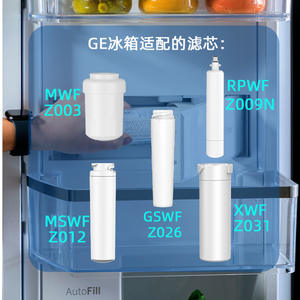 Filtre à eau pour réfrigérateur Bichun Z012, charbon actif, remplacement pour Ge, installation facile - Product Image 1