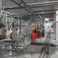 Abattoir de poulet automatique