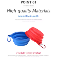 Dernier modèle de gamelle pliable double en silicone écologique, moderne, étanche et portable pour chiens, chats et petits animaux d'extérieur