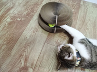 Vente d'usine : Griffoir classique écologique Magic Organ pour chats, pliable, rond, en plastique ondulé