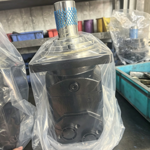 Moteur hydraulique personnalisé pour tracteurs agricoles et équipements de récolte BM5W160 BM5W400 BM5W400-W-D4-B BM5W-500-ZAY BM2-250V-400-ZAY - Product Image 2