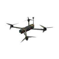 Dron FPV Caddx de 10 Pulgadas, 5.8G VTX, Largo Alcance, Control Remoto, Material ABS, Molde Privado, Precio de Fábrica Directo, Hecho en China, Compatible
