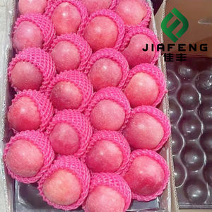 Nuove Mele Fuji di Alta Qualità, Deliziosamente Fresche e Succose, Mele Cinesi - Product Image 3