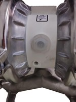 Bomba Neumática de Doble Diafragma Wilden P4/SSAPP/TNU/TF/STF/0014 con Carcasa de Acero Inoxidable y PTFE o Neopreno