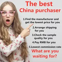 Лучший китайский агент по закупкам в мире