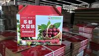 Boîtes en carton ondulé pour le transport de fruits et légumes avec gaufrage, écologiques et recyclables, personnalisables