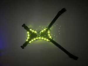 2024 नई शैली के कस्टम लोगो का नेतृत्व पालतू जानवरों का उपयोग करके उपयोगी रंगीन प्रकाश रात सुरक्षा चमकदार कुत्ते की दुकान - Product Image 2