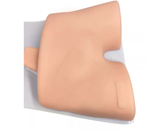 Simulador de Entrenamiento ECMO - Modelo de Entrenamiento para Punción Arterio-Venosa Femoral Guiada por Ultrasonido - Product Image 2